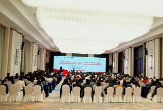 2025年全國少年兒童“雙有”活動總結(jié)交流會舉行