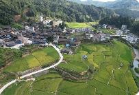 貴州黎平：體系創(chuàng)新激活招商引資新動能