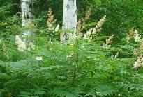 黑龍江省與中國科學(xué)院共建工作室