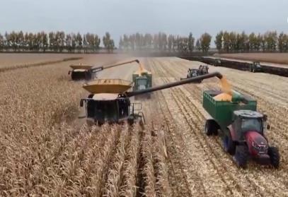 秋糧收獲接近尾聲 各地?fù)屪r(shí)機(jī)保豐收