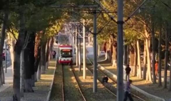 秋色宜人 帶動(dòng)文旅市場(chǎng)持續(xù)火熱