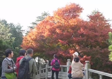 金秋時(shí)節(jié)“邂逅”絕美自然畫(huà)卷 以“景”為媒打造文旅消費(fèi)盛宴