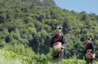 不同地域、獨具特色、歷史悠久 中國6項全球重要農業(yè)文化遺產獲授牌