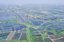 浙江湖州南潯區(qū):“魚米之鄉(xiāng)”賦新意