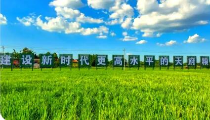 四川“天府糧倉”建設(shè)成勢見效