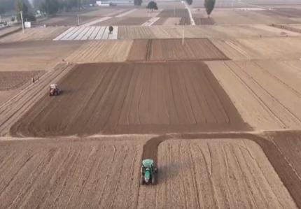 種足、種好、種優(yōu) “稻麥銜接”搶農(nóng)時(shí)夯實(shí)2026年夏糧豐收基礎(chǔ)