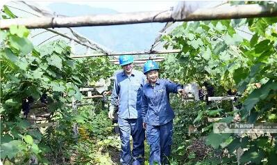 柿紅里的產(chǎn)業(yè)振興密碼——南方電網(wǎng)廣西電網(wǎng)公司點(diǎn)亮豐收致富路