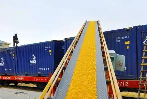 決勝“最后一公里” 構(gòu)建糧食外運(yùn)新通道