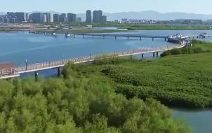 打造從山頂?shù)胶Ｑ蟮纳鷳B(tài)保護修復示范區(qū)  廈門發(fā)布生態(tài)保護修復三年行動規(guī)劃