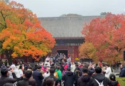 神州大地鋪展層林盡染美麗畫(huà)卷 “賞葉經(jīng)濟(jì)”激發(fā)多元消費(fèi)業(yè)態(tài)新活力