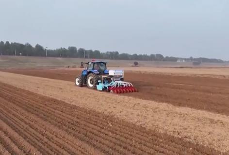 截至11月10日，全國(guó)冬小麥播種近七成