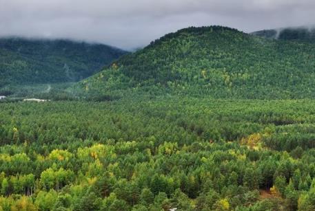 黑龍江：厚植高質(zhì)量發(fā)展綠色底色