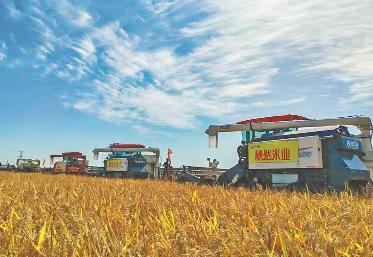 “中國(guó)富硒稻米之鄉(xiāng)”方正激活農(nóng)業(yè)新動(dòng)能