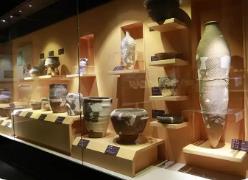 走進(jìn)藏在高校里的博物館