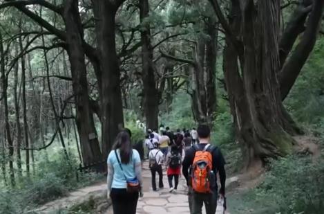 “冰雪+補(bǔ)貼”“彩林+溫泉”“秋假+研學(xué)”齊發(fā)力 文旅市場(chǎng)激蕩消費(fèi)新活力