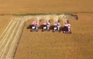 生產(chǎn)線上有多“拼”？加速！新裝備、新服務(wù)搬到田埂上 全力保障秋冬種