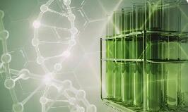 多重利好驅(qū)動(dòng) 萬(wàn)億級(jí)生物制造賽道將迎黃金發(fā)展期