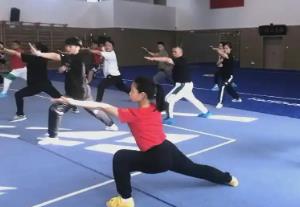 我國牽頭的首個武術(shù)培訓(xùn)ISO國際標(biāo)準(zhǔn)成功立項