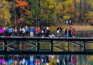 四川中小學(xué)秋假：娃帶火的旅行季