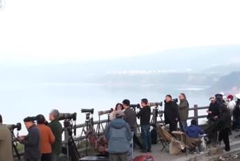 “觀鳥(niǎo)經(jīng)濟(jì)”點(diǎn)綠成“金” 賞天鵝、游濕地催熱冬日文旅消費(fèi)