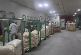 “中國大蒜之鄉(xiāng)”濟寧金鄉(xiāng)鄉(xiāng)村振興的“共富密碼”