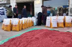 爭分奪秒保秋糧、穩(wěn)豐收