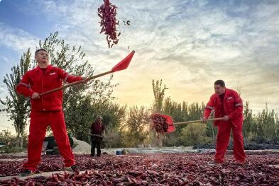 中國石油發(fā)布2024優(yōu)秀社會責任實踐案例集