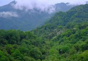 到2030年，四川省林業(yè)綜合產(chǎn)值力爭達到1萬億元