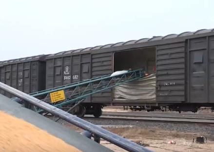 智慧運輸！創(chuàng)新“組合拳”保障糧食運輸“大動脈”智能、綠色、高效