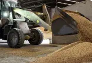 護(hù)航“三秋”生產(chǎn) 河南多地積極行動(dòng)