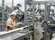 今年前10月福建嬰兒紙尿出口領(lǐng)跑全國(guó) 企業(yè)投資擴(kuò)產(chǎn)迎機(jī)遇