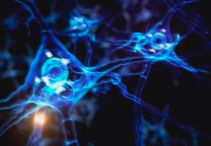 鏈接“政產(chǎn)學(xué)研醫(yī)”各環(huán)節(jié) 腦機(jī)接口產(chǎn)業(yè)創(chuàng)新發(fā)展探路未來