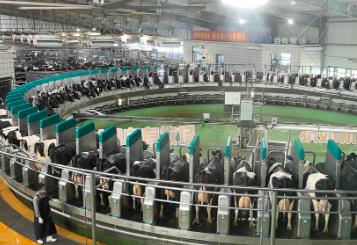 黑龍江省印發(fā)方案 全鏈條監(jiān)管農(nóng)產(chǎn)品質(zhì)量