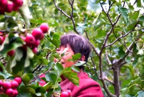 新亮點、新業(yè)態(tài)“熱”力十足助農(nóng)增收 我國鄉(xiāng)村產(chǎn)業(yè)蓬勃興旺、韌性強