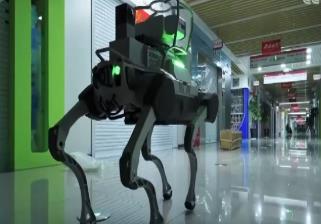 我國6個(gè)領(lǐng)域研究前沿?zé)岫戎笖?shù)排名世界第一