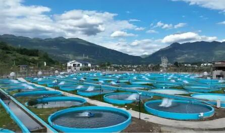 多點(diǎn)發(fā)力促轉(zhuǎn)型 激發(fā)產(chǎn)業(yè)新動能 四川漁業(yè)繪就高質(zhì)量發(fā)展新圖景