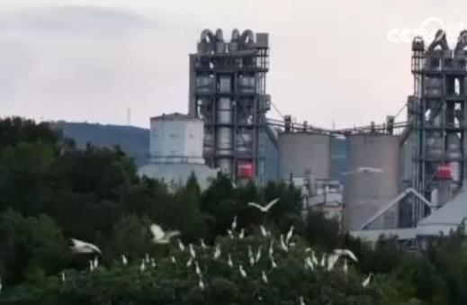 前11個(gè)月新興產(chǎn)業(yè)持續(xù)壯大 智能設(shè)備制造業(yè)銷售收入同比增長28.2%