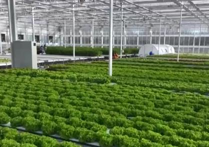 “三農(nóng)”融資成本降低服務(wù)農(nóng)業(yè)增產(chǎn)、農(nóng)民增收 智慧農(nóng)業(yè)等領(lǐng)域貸款增長(zhǎng)明顯