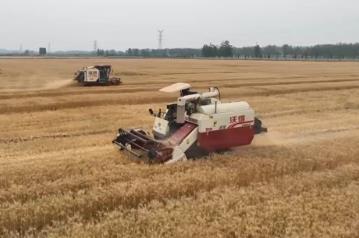 超1.4萬(wàn)億斤！2025年全國(guó)糧食實(shí)現(xiàn)豐收