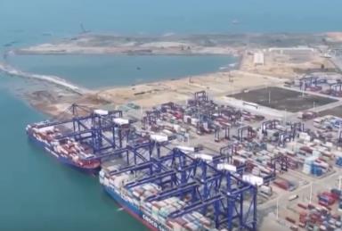 “船未到、手續(xù)已辦畢” 洋浦港持續(xù)釋放改革活力 集裝箱吞吐量創(chuàng)新高