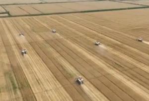 “十四五”新建改造高標(biāo)準(zhǔn)農(nóng)田4.6億畝 為端穩(wěn)“中國(guó)飯碗”提供“硬支撐”