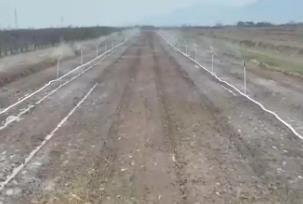 良種良技良法助力來(lái)年好“豐”景 特色農(nóng)業(yè)開(kāi)啟鄉(xiāng)村振興“新引擎”