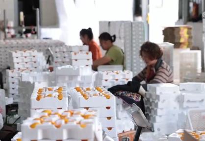 “十四五”期間我國(guó)農(nóng)產(chǎn)品出口提質(zhì)擴(kuò)容