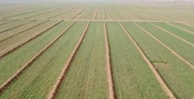 科技助力 保障冬季田間管理提質(zhì)增效