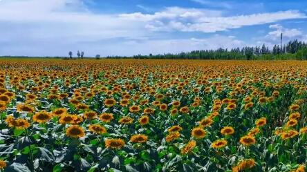 內(nèi)蒙古首個地理標(biāo)志保護(hù)示范區(qū)建成