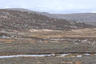 登至4300米！考古刷新青藏高原東部人類遷徙紀錄