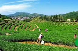 福建7個(gè)項(xiàng)目入選2025年度國(guó)家標(biāo)準(zhǔn)化試點(diǎn)項(xiàng)目