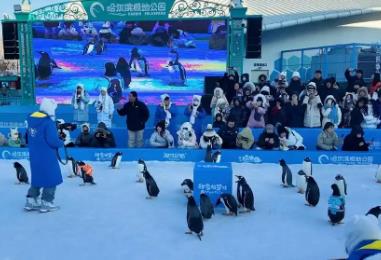 “冰雪+”叫響文旅IP！黑龍江深挖冰雪資源 催熱冬日經(jīng)濟