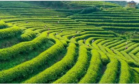 福建省建寧縣：智能農(nóng)機(jī)“跑”上坡 丘陵農(nóng)業(yè)路更寬