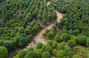 我國首部氣候資源經(jīng)濟藍皮書發(fā)布